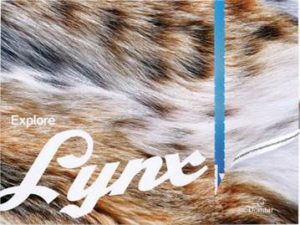 explore-lynx